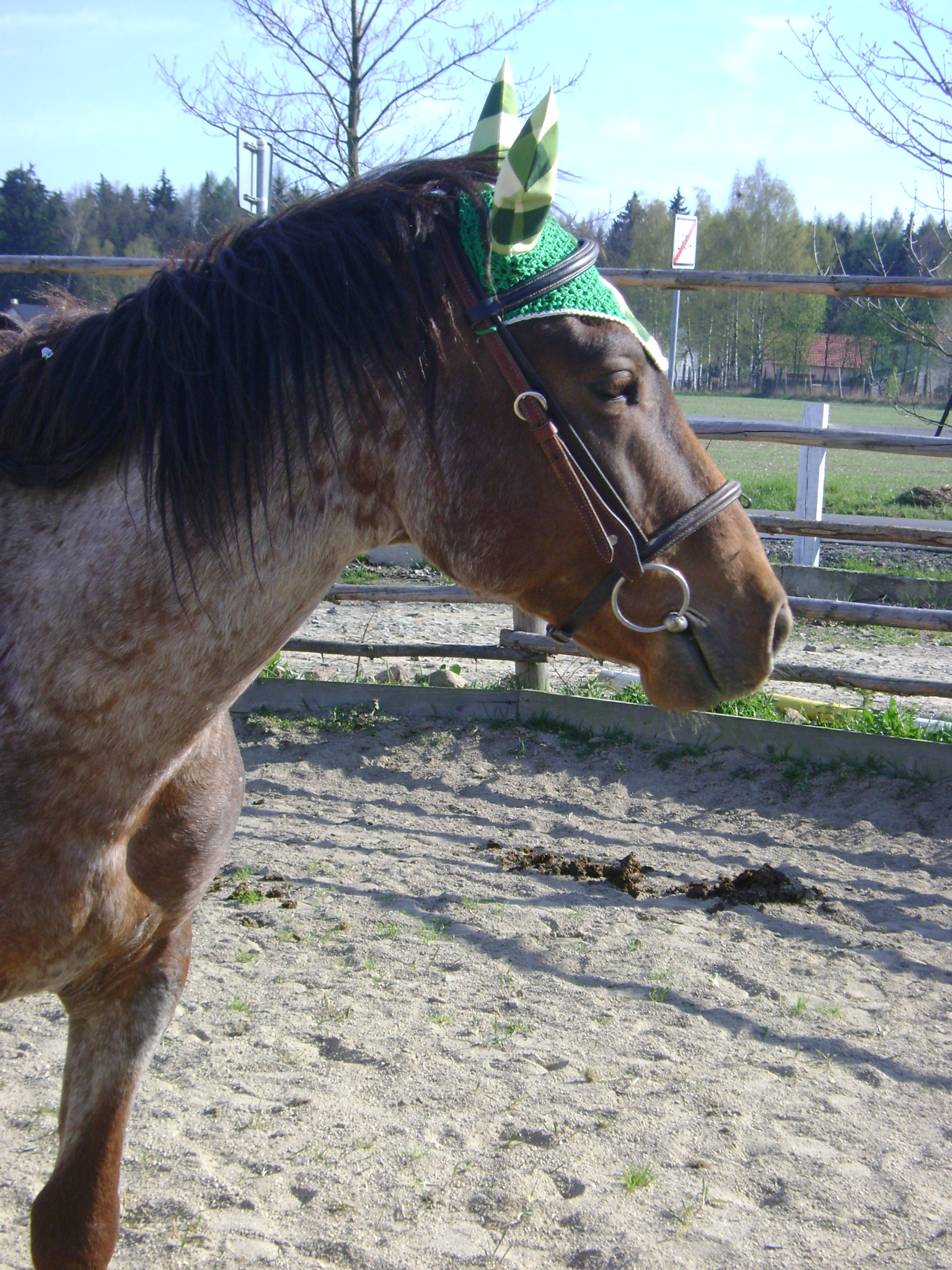DSC00505
