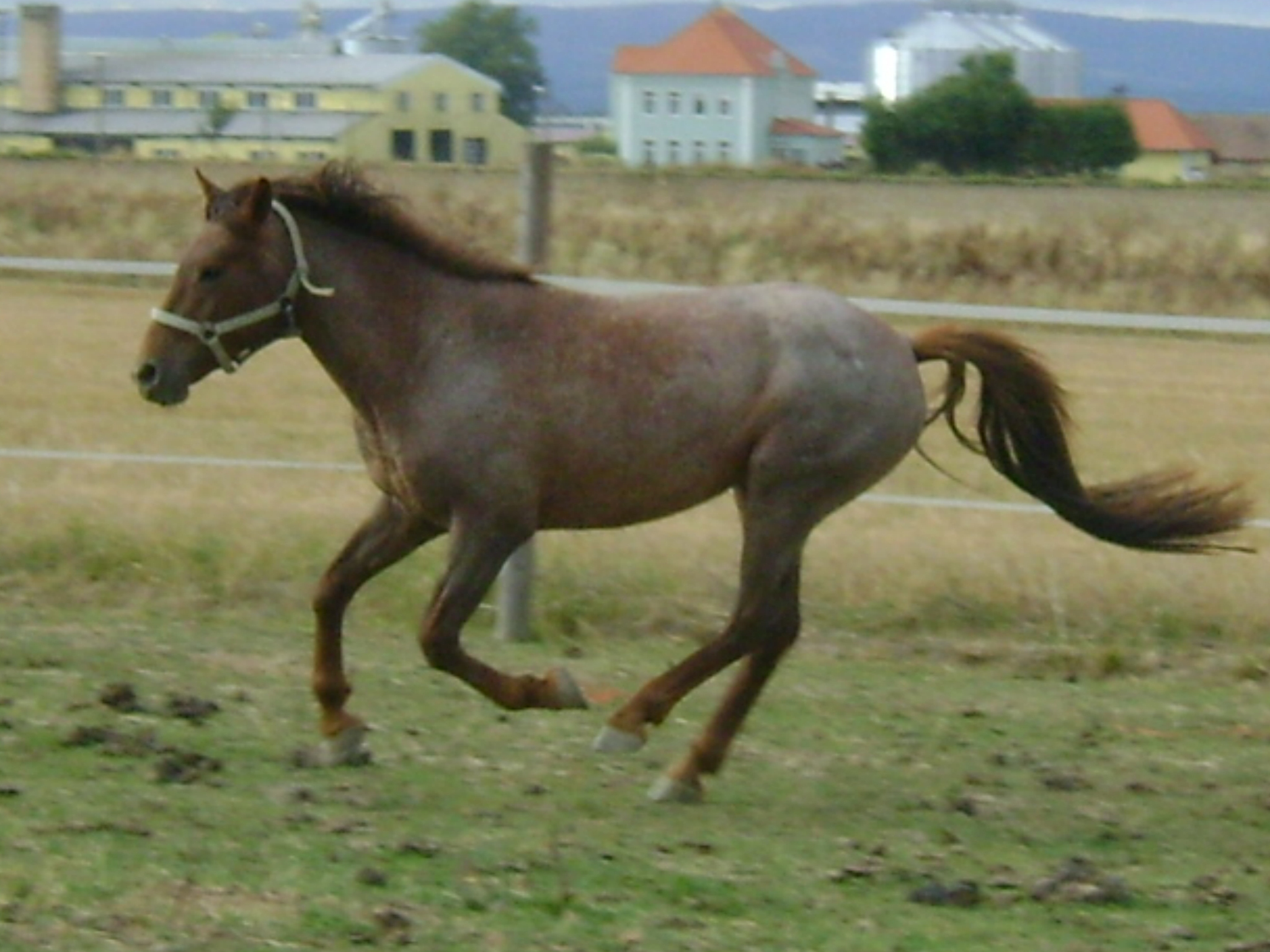 DSC00081