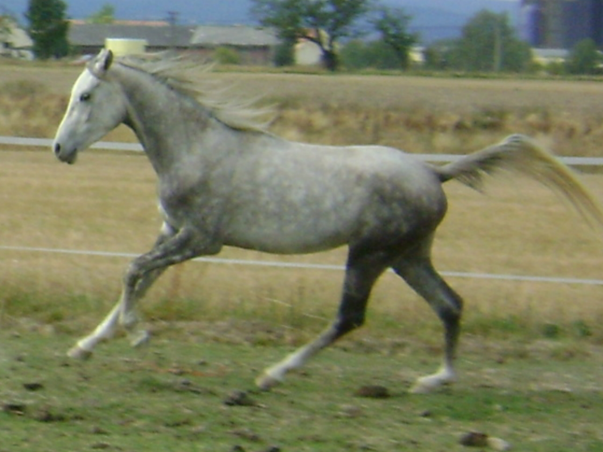 DSC00082